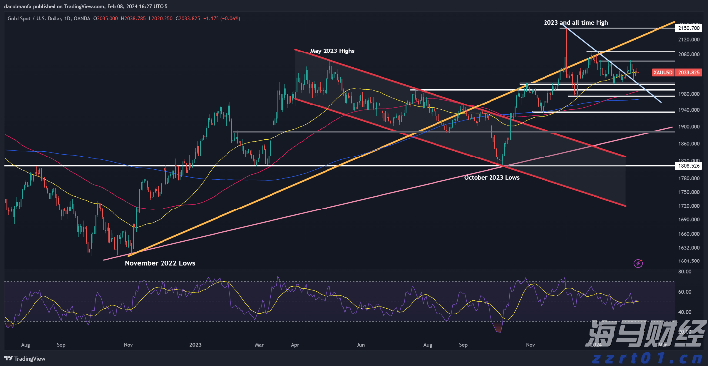“规模最大、不可思议” 来华观礼国际友人眼中的九三阅兵