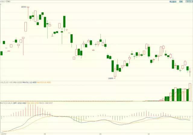 2025年广东省自然教育季落下帷幕 累计开展490余场活动